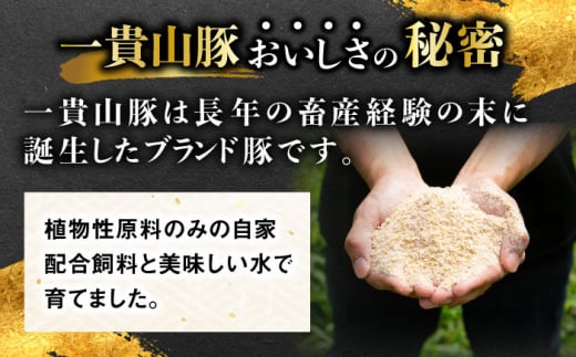 一貴山豚 あらびきフランク 20本(5本×4パック) 糸島市 / いきさん牧場 豚肉　ソーセージ ウインナー [AGB068] 豚肉 ソーセージ ウインナー ホットドック フランク 豚 肉 ポーク あらびき