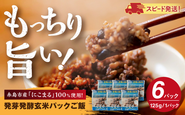 発芽発酵玄米パックご飯 125g×6パック 糸島市産 糸島市 / 糸島の恵み ごはん 米 [AGR005]