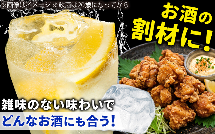 強炭酸水 プレーン 500ml × 24本  糸島市 / スターナイン 炭酸水 国産 [ARM002] 炭酸水 500ml 24本 プレーン 国産 炭酸 強炭酸 ペットボトル 常温
