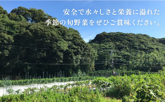 アスパラガス 800g 冷凍 カット済み 旬の時期に急速冷凍 【福岡県糸島産】 糸島市 / オーガニックナガミツファーム 野菜 アスパラ [AGE050]