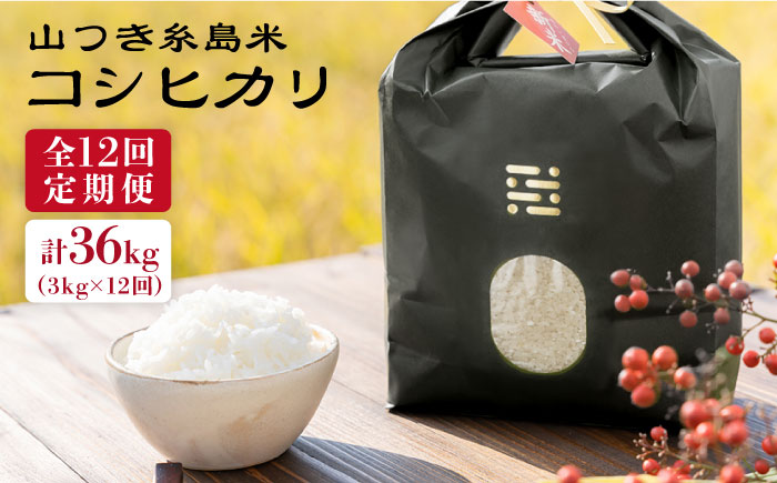 【全12回定期便】糸島 で 農薬 を使わずに育てた 山つき 糸島米 3kg （ コシヒカリ ） 糸島市 / itoshimacco / 株式会社やました [ARJ030]