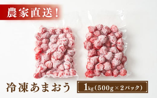 【農家直送！】 冷凍あまおう 1kg（500g×2パック）いちご 苺 糸島市 / みのりのりん [ABD006]