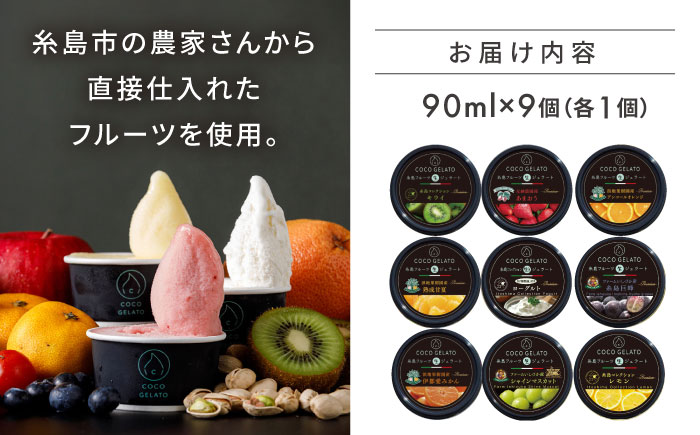 糸島 フルーツ 生ジェラート 9個セット 糸島市 / COCO GELATO [AON001] ジェラート フルーツ 果物 アイス アイスクリーム 濃厚