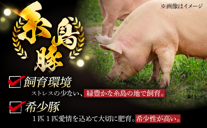 【全6回定期便】計4.6kg！糸島豚 食べ尽くしセット ( とんかつ / 肩ロース / しゃぶしゃぶ / 豚バラ / スペアリブ / 小間切れ ) 糸島市 / トラヤミートセンター [AJD013] 豚肉 スライス しゃぶしゃぶ ロース スペアリブ こま切れ