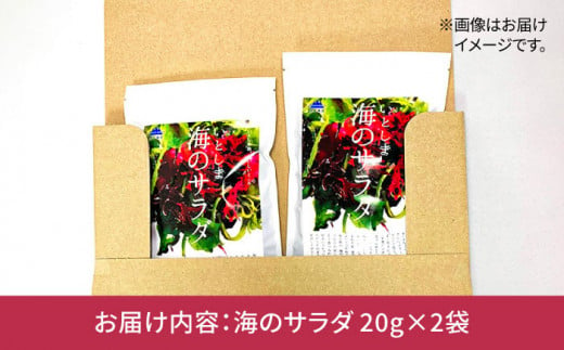 糸島の乾物 海藻 いとしま 海 の サラダ 2袋《糸島》【山下商店】【いとしまごころ】[ANA012]