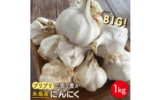 にんにく 1kg 数量限定 糸島市 / 爽風農園 / いとしまごころ [AHZ002]