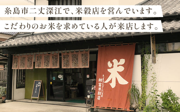 【長期保存可能】 五ツ星お米マイスターが厳選 品種おまかせ 白米 5kg 糸島市 / 米屋納富 [ARL005] 米 お米 ご飯 白米 九州 5キロ 真空パック 長期保存 五つ星お米マイスター