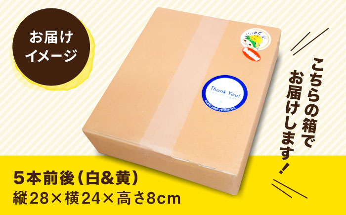 糸島産 トウモロコシ 「もきっこ」 白黄ミックス (5本前後) 糸島市 / 内田農業 とうもろこし コーン [AZH006]