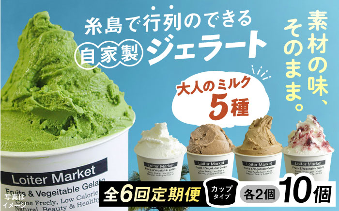 【全6回定期便】糸島で行列のできる アイスクリーム 屋 ジェラート カップ 10個 セット！ 大人の味 5種類 × 各2個 ( ミルク , 抹茶 , ほうじ茶 , カフェオレ , ブルーベリーヨーグルト ) 糸島市 / LoiterMarket ロイターマーケット アイスクリーム [AGD021]