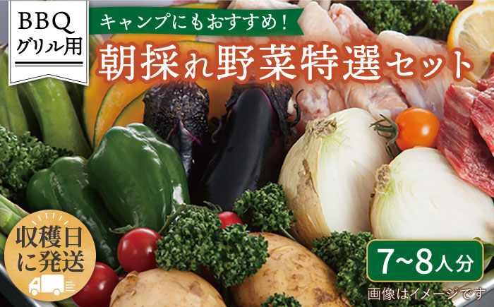 ☆キャンプにもおすすめ☆バーベキュー・グリル用朝採れ野菜特選セット【福岡県糸島産】(7〜8人分) 糸島市 / オーガニックナガミツファーム 野菜 詰め合わせ         [AGE039]