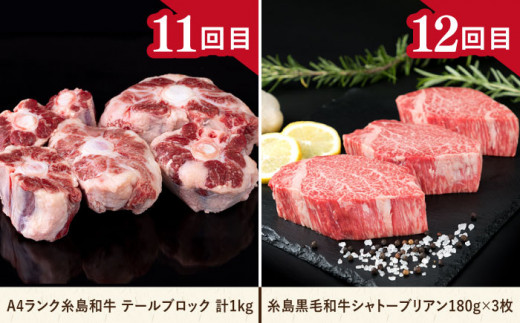 【全12回定期便】肉のお楽しみ定期便 食べ比べ セット （ 博多和牛 糸島和牛 糸島豚 はかた地どり イノシシ ウインナー シャトーブリアン ステーキ ハム ソーセージ ハンバーグ ） 糸島市 [AAH009]