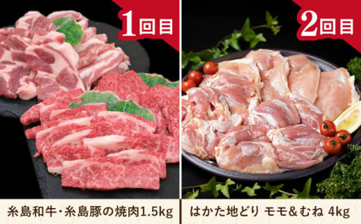 【全12回定期便】肉のお楽しみ定期便 食べ比べ セット （ 博多和牛 糸島和牛 糸島豚 はかた地どり イノシシ ウインナー シャトーブリアン ステーキ ハム ソーセージ ハンバーグ ） 糸島市 [AAH009]