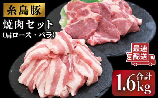 JA糸島  糸島豚 焼肉 セット 肩ロース バラ 糸島市 / JA糸島産直市場 伊都菜彩 [AED004]