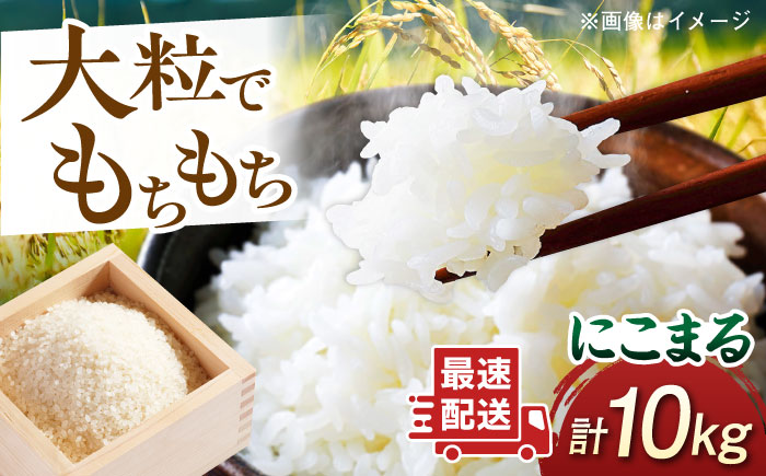 にこまる 玄米品質1等米 白米 10kg 糸島市産 糸島市 / 糸島の恵み コメ こめ ご飯 [AGR002]