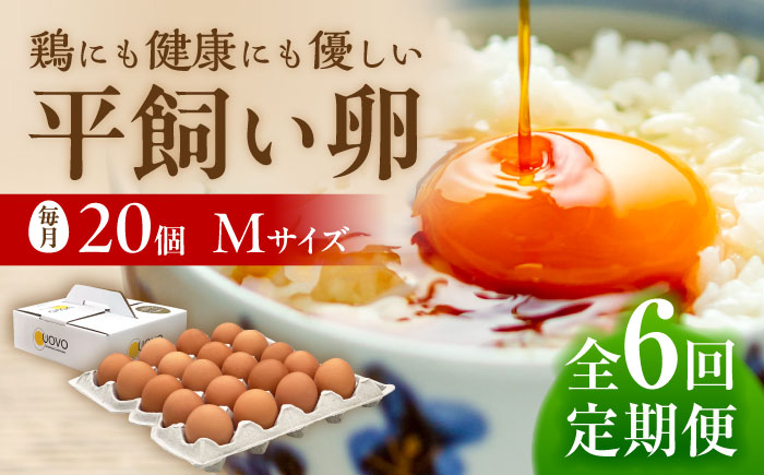 【 全6回 定期便 】 こだわり の 卵 「 天上卵 」 20個 セット 《糸島》【株式会社おおはまファーム】 [AKH003]