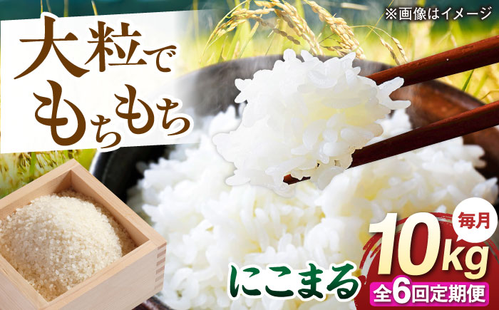 【全6回定期便】 にこまる 玄米品質1等米 白米 10kg 糸島市産 糸島市 / 糸島の恵み コメ こめ ご飯 [AGR012]