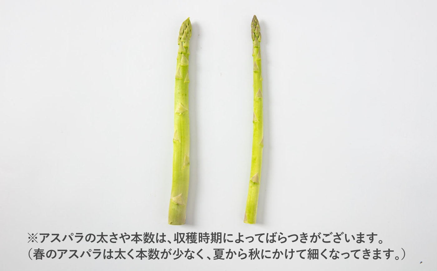 採れたてを直送！糸島野菜 アスパラガス 1kg (M-Lサイズ) 糸島市 / しろファーム 野菜 アスパラ [AHQ001]