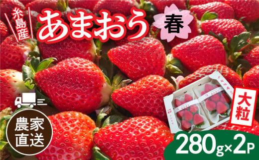 【先行予約】【農家直送！】糸島産 春 あまおう 280g × 2パック  (DXまたはGサイズ)  【2025年2月上旬より順次発送】 糸島市 / 後藤農園 [AML004] いちご 福岡