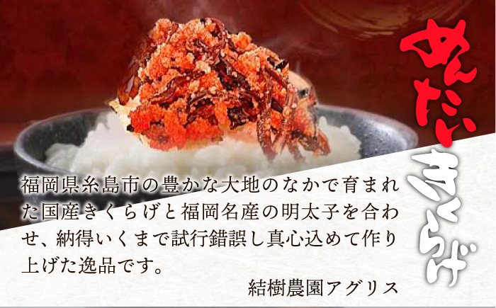 【全3回定期便】結樹農園 アグリス めんたい きくらげ 300g×3P 《糸島》【結樹農園アグリス】 [AAJ008]