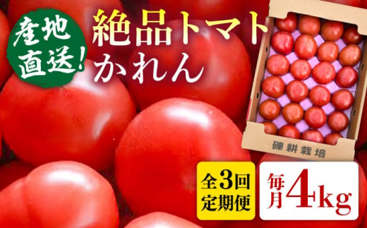 【全3回定期便】糸島産 絶品トマト かれん (4kg28玉前後) 糸島市 / シーブ 野菜 とまと 大玉トマト [AHC066]