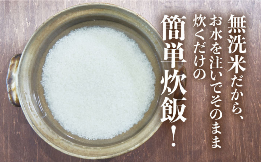 【無洗米】糸島のお米 夢つくし 「糸島美人」10kg （ 5kg×2 ） 糸島市 / 伊都菜彩 [AED017]