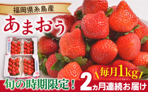 【先行予約】【全2回定期便】【2024年12月より順次発送】 糸島産【冬】 あまおう 4パック 毎月計1kg 糸島市 / 南国フルーツ株式会社 [AIK024]