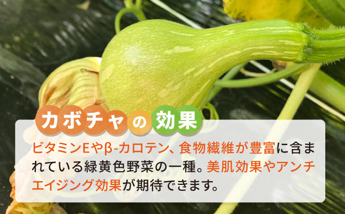 カボチャ 1kg 冷凍 カット済み 旬の時期に急速冷凍 【福岡県糸島産】 糸島市 / オーガニックナガミツファーム 野菜 南瓜 かぼちゃ [AGE051]