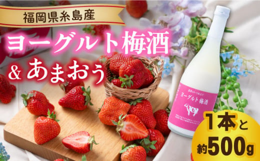 【先行予約】【春】ヨーグルト梅酒720ml ×あまおう 約250g×2パック  【2025年2月上旬以降順次発送】 糸島市 / 南国フルーツ株式会社 [AIK013]