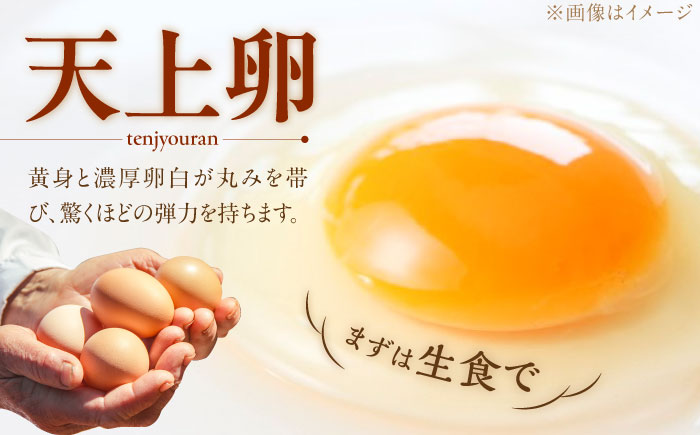 こだわり の 卵 「 天上卵 」 40個 セット 《糸島》 【株式会社おおはまファーム】 [AKH005] 鶏卵 平飼い 平飼い卵 玉子 たまご 高級 自然 新鮮 自家配合飼料