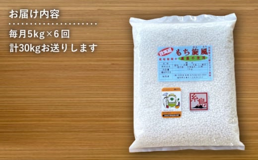 【 全6回 定期便 】もち 旋風 もち米 5kg 《糸島》【百笑屋】 [ABF036] 米 お米 白米 糯米 餅 定期便