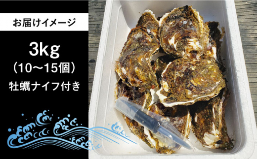 岩牡蠣3kg（10～15個）≪糸島市≫ 糸島市 / ケンちゃんカキ牡蠣/カキ/岩牡蠣 /糸島カキ [AOI001]