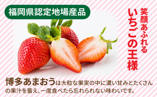 【 期間 限定 】 福岡県 糸島産 いちご あまおう 270g×4 パック 糸島市 / 伊都菜彩 [AED012]