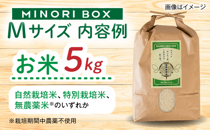 【全4回定期便】糸島産 肉 米 野菜 果物 厳選詰め合わせ MINORI BOX Mサイズ【季節ごとに年4回お届け】 糸島市 / emma.Inc / 米 肉 野菜 果物 詰め合わせ [AOP002] 米 こめ 肉 にく 野菜 やさい 果物 くだもの 糸島 詰め合わせ MINORI