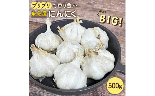 にんにく 500g 数量限定 糸島市 / 爽風農園 / いとしまごころ [AHZ001]