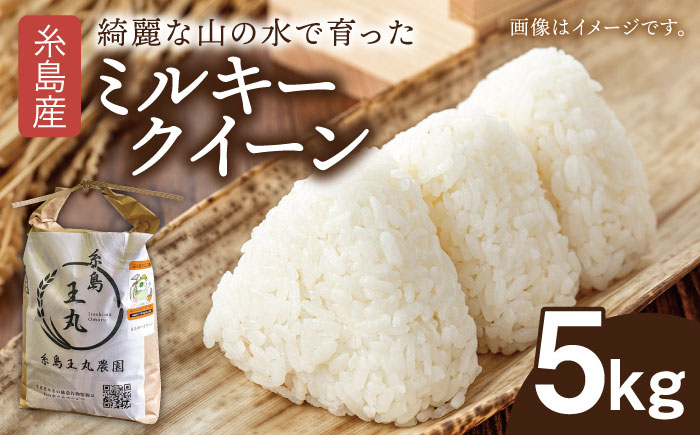 糸島産 ミルキークイーン 5kg 糸島市／糸島王丸農園（ 谷口汰一 ）【いとしまごころ】 米 [AAZ019]