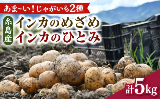 糸島育ちのジャガイモ 2種食べ比べ インカのめざめ/インカのひとみ 各2.5kg・計5kg 糸島市 / 糸島ボンテール農園 [ACO013]