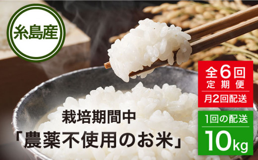 【全6回(月2回)定期便】栽培期間中 農薬不使用のお米 ヒノヒカリ 10kg 糸島市 シーブ [AHC008]