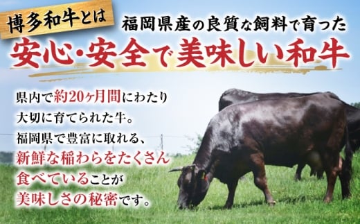 【希少部位！】博多和牛 ヒレ 150g×10枚 （計1.5kg）＜肉のくまもと屋＞那珂川市 ヒレ フィレ ヘレ ステーキ肉 希少部位 肉 人気 [GBI083]