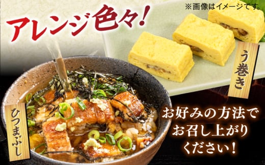 【良質な国産うなぎを厳選】一膳うなぎ 600g （60g×10）＜ひかり工房＞那珂川市 [GDF005]