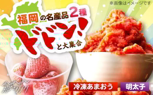 辛子明太子無着色(切子)500gと福岡県産冷凍あまおう500g(250g×2)訳あり ＜木村食品＞ 那珂川市 [GFR039]