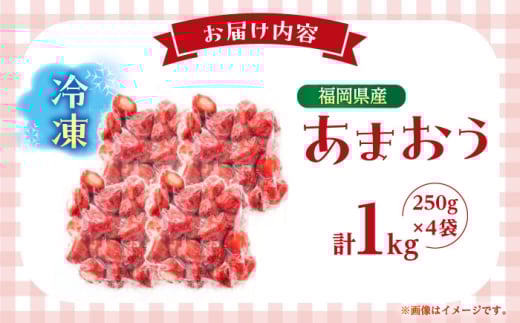 【7営業日以内発送！】福岡県産 冷凍あまおう1ｋg(250g×4個) ＜木村食品＞ 那珂川市 [GFR035]