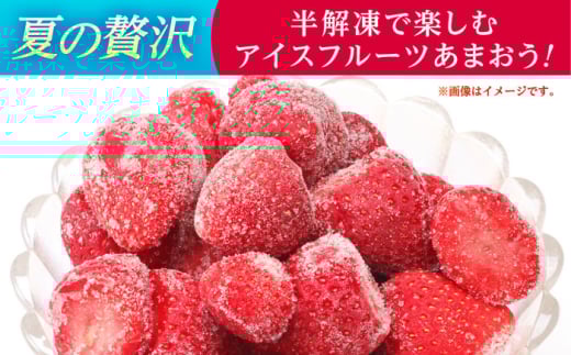 【7営業日以内発送！】福岡県産 冷凍あまおう1ｋg(250g×4個) ＜木村食品＞ 那珂川市 [GFR035]