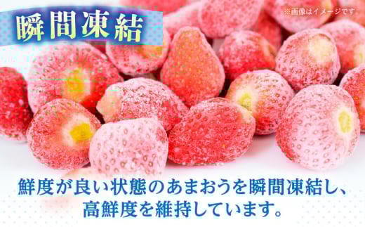 【7営業日以内発送！】福岡県産 冷凍あまおう500g(250g×2個) ＜木村食品＞ 那珂川市 [GFR034]