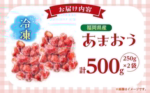 【7営業日以内発送！】福岡県産 冷凍あまおう500g(250g×2個) ＜木村食品＞ 那珂川市 [GFR034]