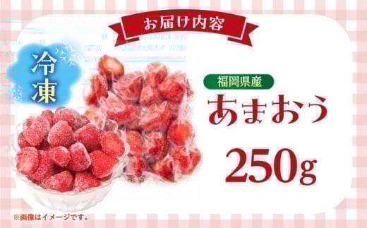 【7営業日以内発送！】福岡県産 冷凍あまおう250g(250g×1個) ＜木村食品＞ 那珂川市 [GFR033]
