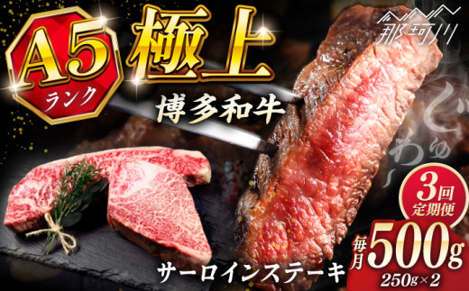 【全3回定期便】極上 博多和牛 A5ランク サーロイン ステーキ 250g×2枚 ＜KRAZY MEAT＞ 那珂川市 [GFQ014]