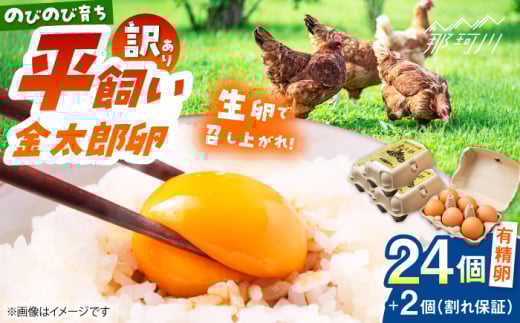 ＼訳あり／【TVで紹介！】【鮮度ＡＡ級の世界最高ランク！】金太郎卵 平飼い たまご 24個（6個×4パック）＜有限会社フジノ香花園＞那珂川市 訳アリ 理由あり わけあり 卵 たまご 平飼い 新鮮 平飼い卵 国産 玉子 鶏卵 [GAM041]