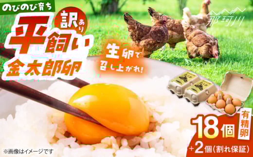 ＼訳あり／【TVで紹介！】【鮮度ＡＡ級の世界最高ランク！】金太郎卵 平飼い たまご 18個（6個×3パック）＜有限会社フジノ香花園＞那珂川市 訳アリ 理由あり わけあり 卵 たまご 平飼い 新鮮 平飼い卵 国産 玉子 鶏卵 [GAM040]