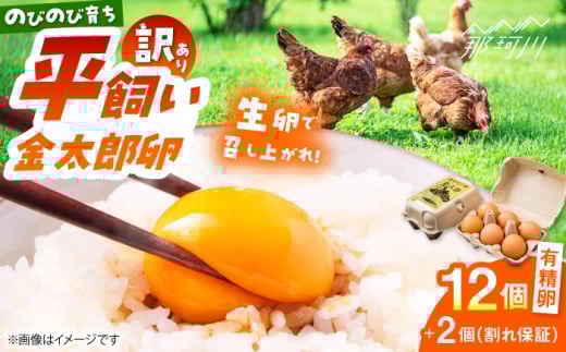 卵 訳あり【鮮度ＡＡ級の世界最高ランク！】金太郎卵 平飼い たまご 12個（6個×2パック）＜有限会社フジノ香花園＞那珂川市 訳アリ 理由あり わけあり たまご 平飼い 新鮮 平飼い卵 国産 生卵 平飼い卵 鶏卵 [GAM039]