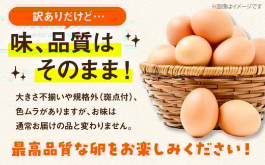卵 訳あり【鮮度ＡＡ級の世界最高ランク！】金太郎卵 平飼い たまご 12個（6個×2パック）＜有限会社フジノ香花園＞那珂川市 訳アリ 理由あり わけあり たまご 平飼い 新鮮 平飼い卵 国産 生卵 平飼い卵 鶏卵 [GAM039]
